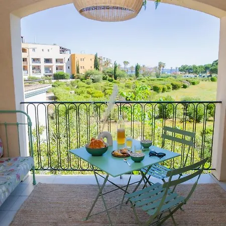 Le Ptit Olivier Piscine -