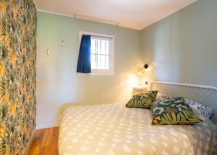 Apartment Le Ptit Olivier Piscine -
