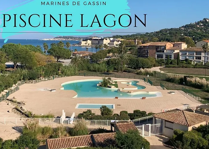 Le Ptit Olivier Piscine - Gassin